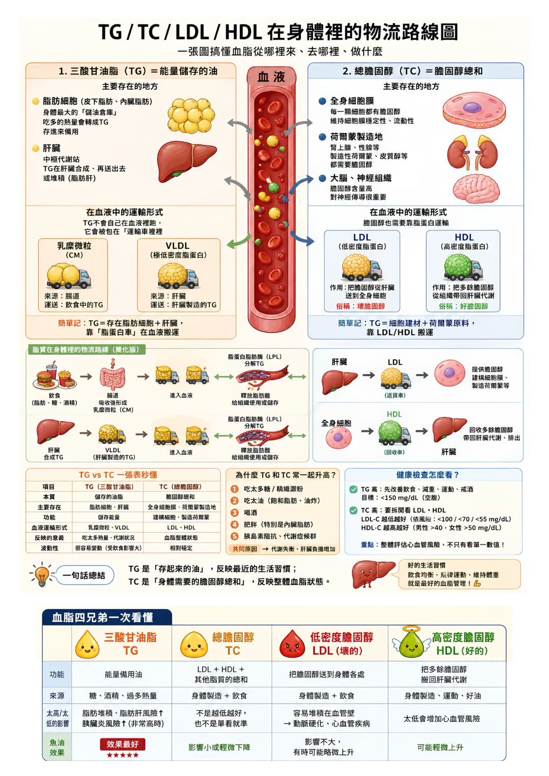 血脂物流路線圖